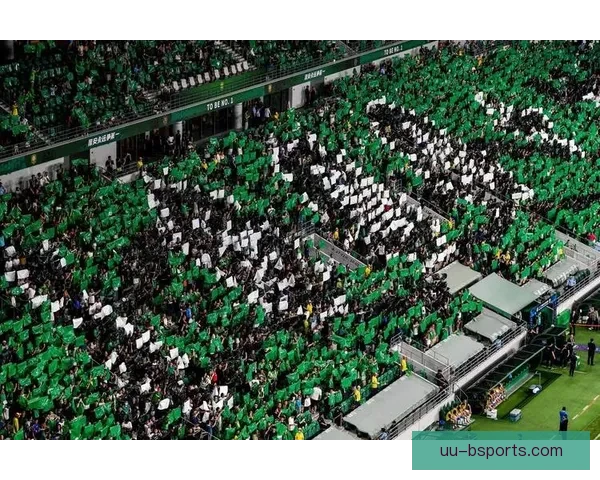 柏林联合与死忠球迷共同翻新北看台 见证球队新篇章