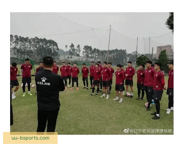 辽宁宏运等多家俱乐部未过准入折射中国职业足球生存危机改革阵痛